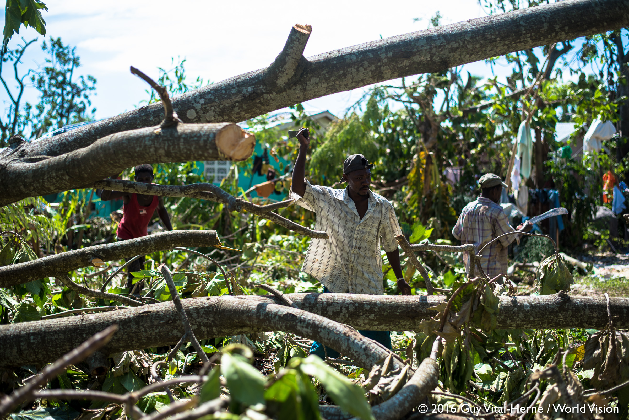 Men from St. Louis du Sud clear the road of fallen breadfruit trees