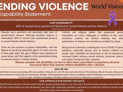 Capability Statement - Ending Violence