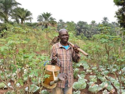 Raymond, a Congolese gardener harvests his garden