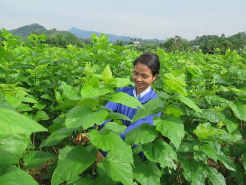 “The farm work takes most of our time but we are very happy and hopeful”, says Quyen. “My family income has been improved quite a lot”. 