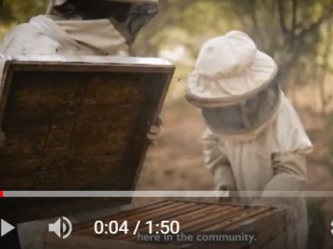 Bolivia Honey Video