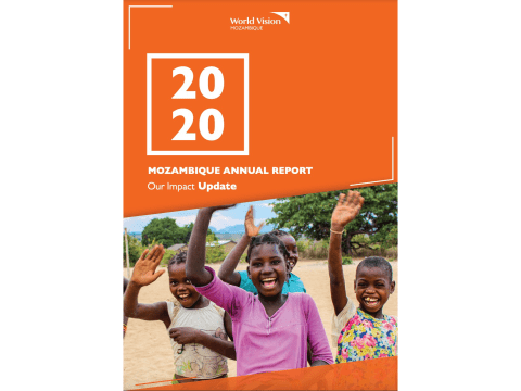 2020 Annual Report - Mozambique