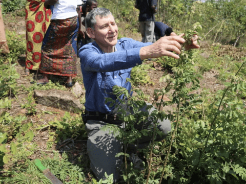 Tony Rinaudo works in Farmer-Managed Natural Regeneration (FMNR) in the fields. He holds a plant. 