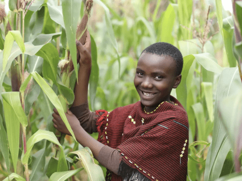 Genoveva, a 13-year-old girl, poses in corn fields in Tanzania