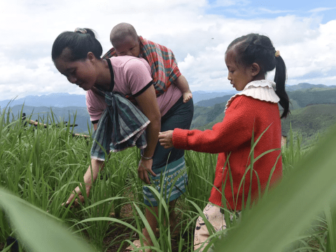 An Asian woman works in a field with her two children