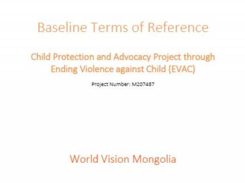Baseline Terms of Reference