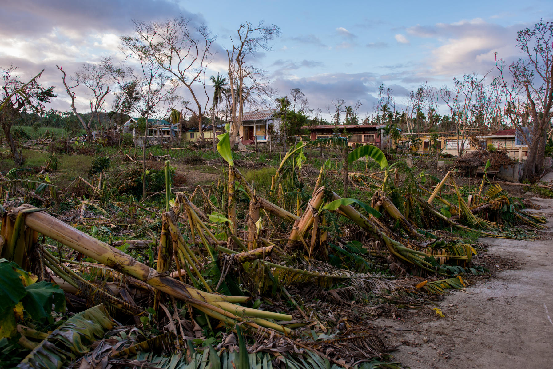 Devastation from a hurricane in the Philippines