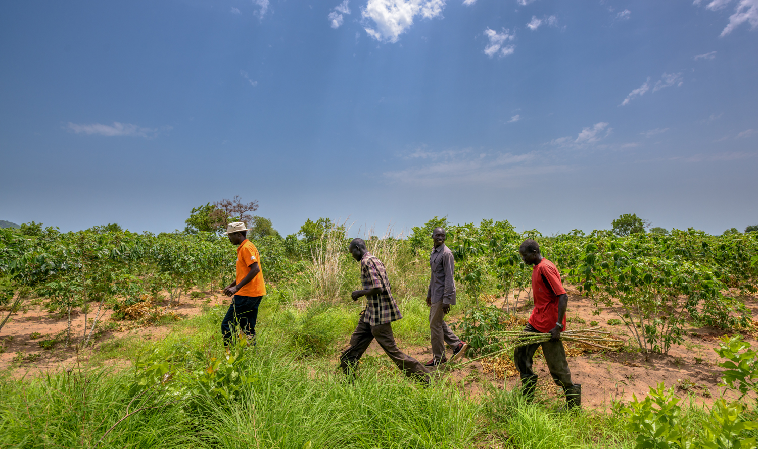World Vision staff in field