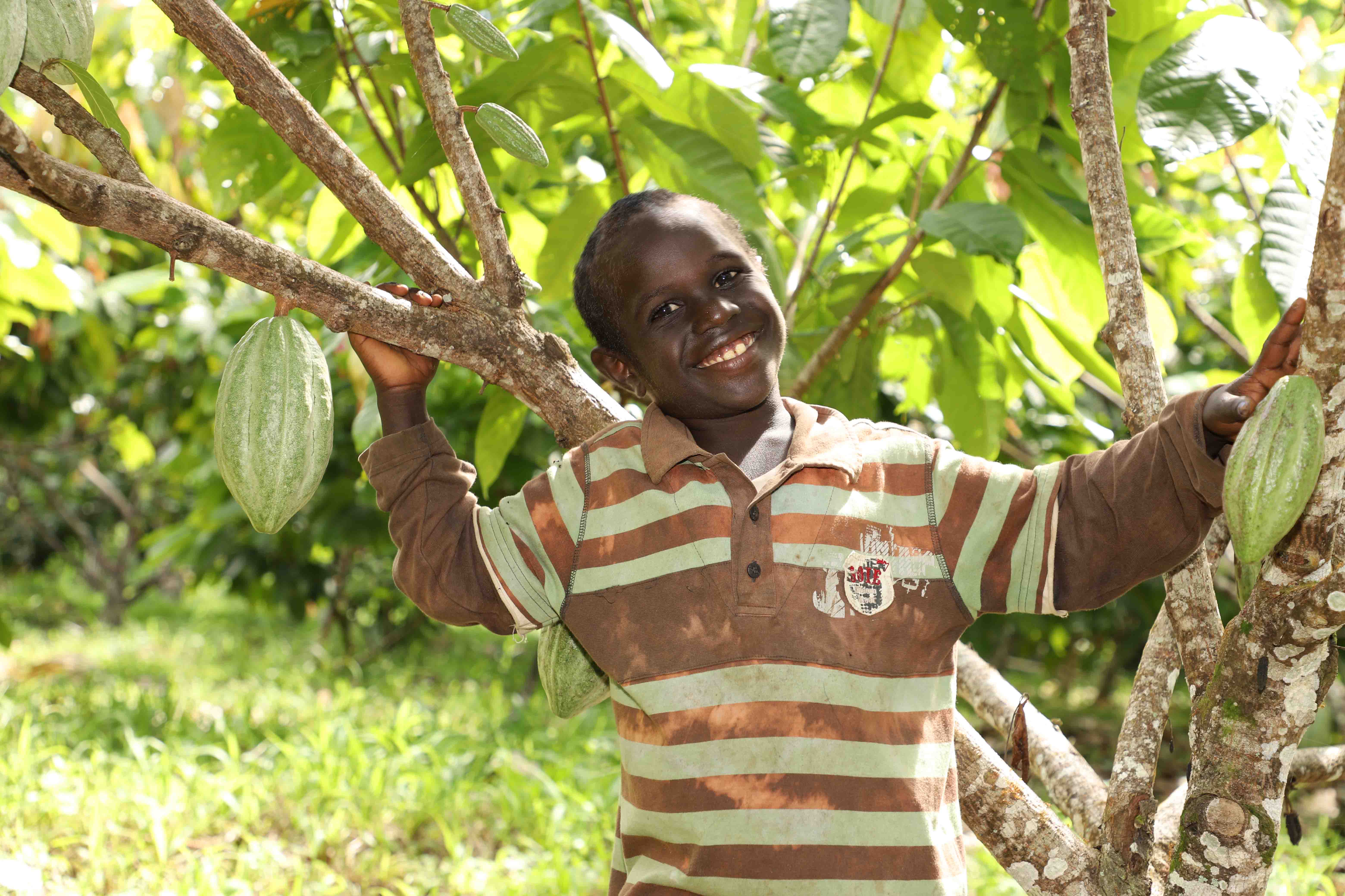 Francisca's dreams now within reach with new cocoa farming skills
