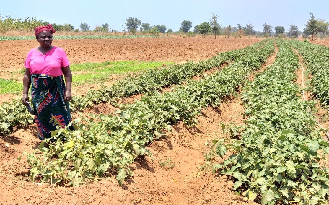 How access to credit helped a couple grow their farm enterprise