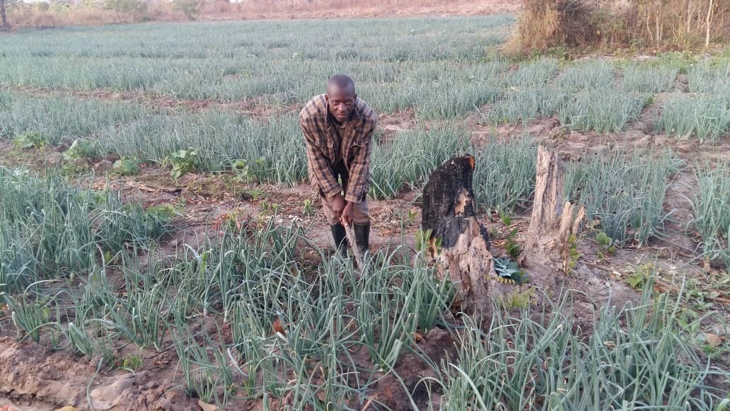 Zambian farmer shares his story of transformation thanks to innovative