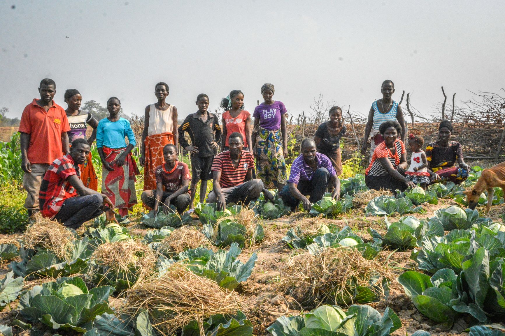 Growing out of poverty through vegetable gardens Zambia World