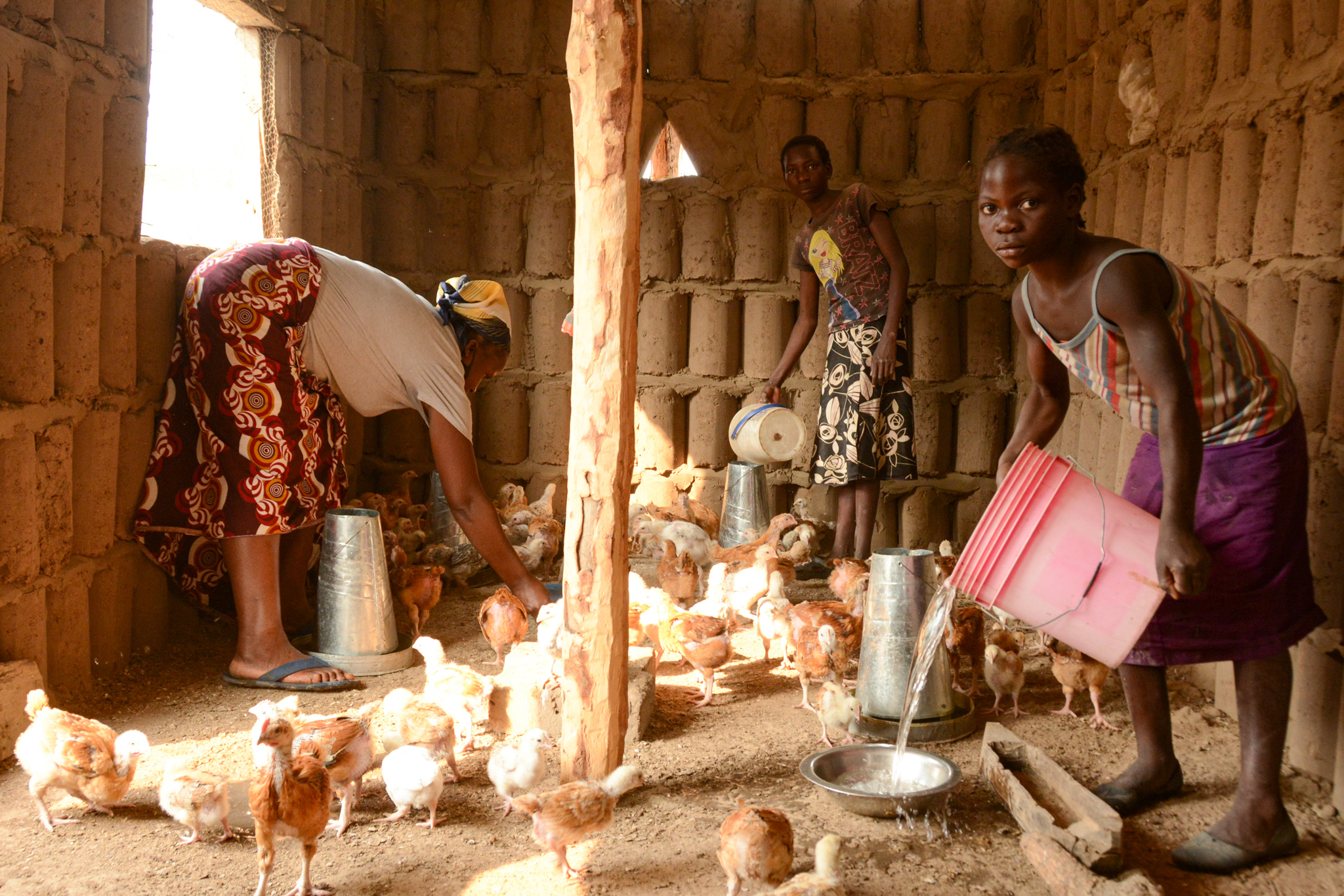 World Vision's Agriculture, Nutrition, Education and Water (ANEW) Project Brings Hope for Ruth | Zambia | World Vision International World Vision's Agriculture, Nutrition, Education and Water (ANEW) Project Brings Hope for Ruth | Zambia | World Vision International