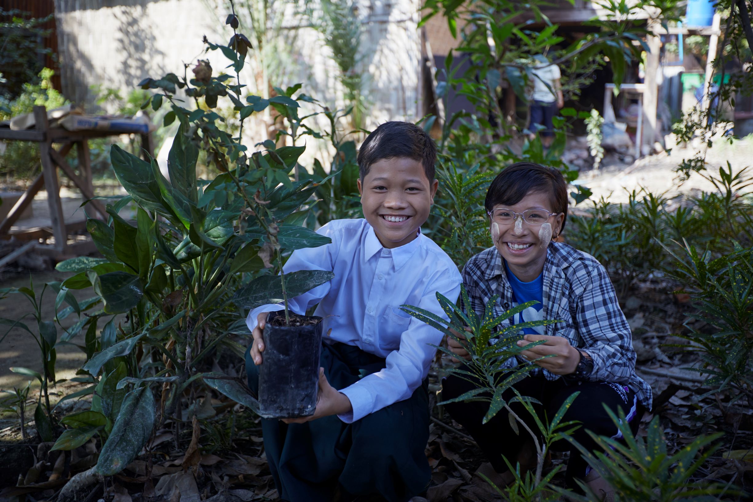 Families in Asia with plants