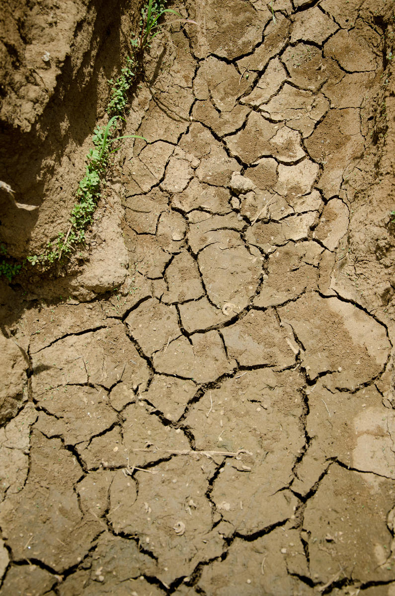 Cracked earth