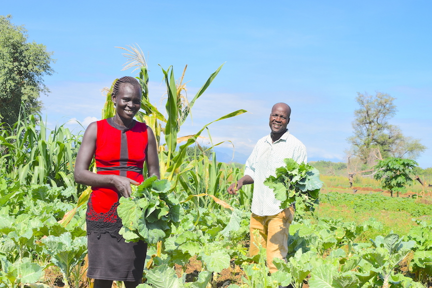 Pastoralists embrace dry land farming to fight drought and boost food