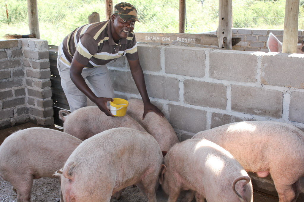 pig farming piggery starting africa successful farm tips south kenya france international eight secretary children funding