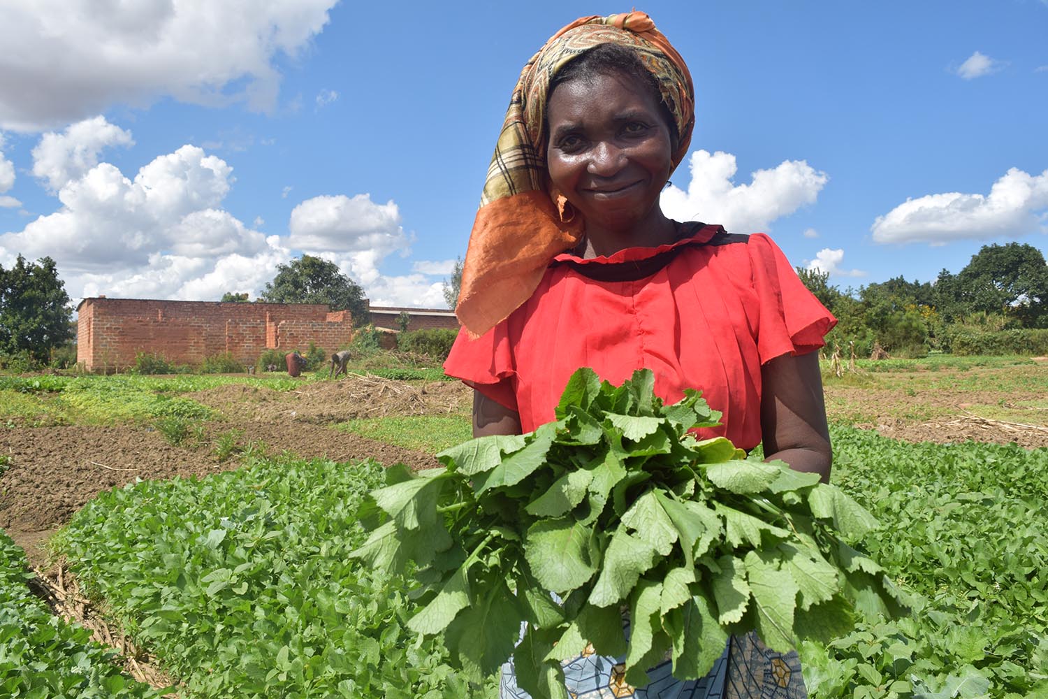 Livelihood and Resilience in the Democratic Republic of Congo