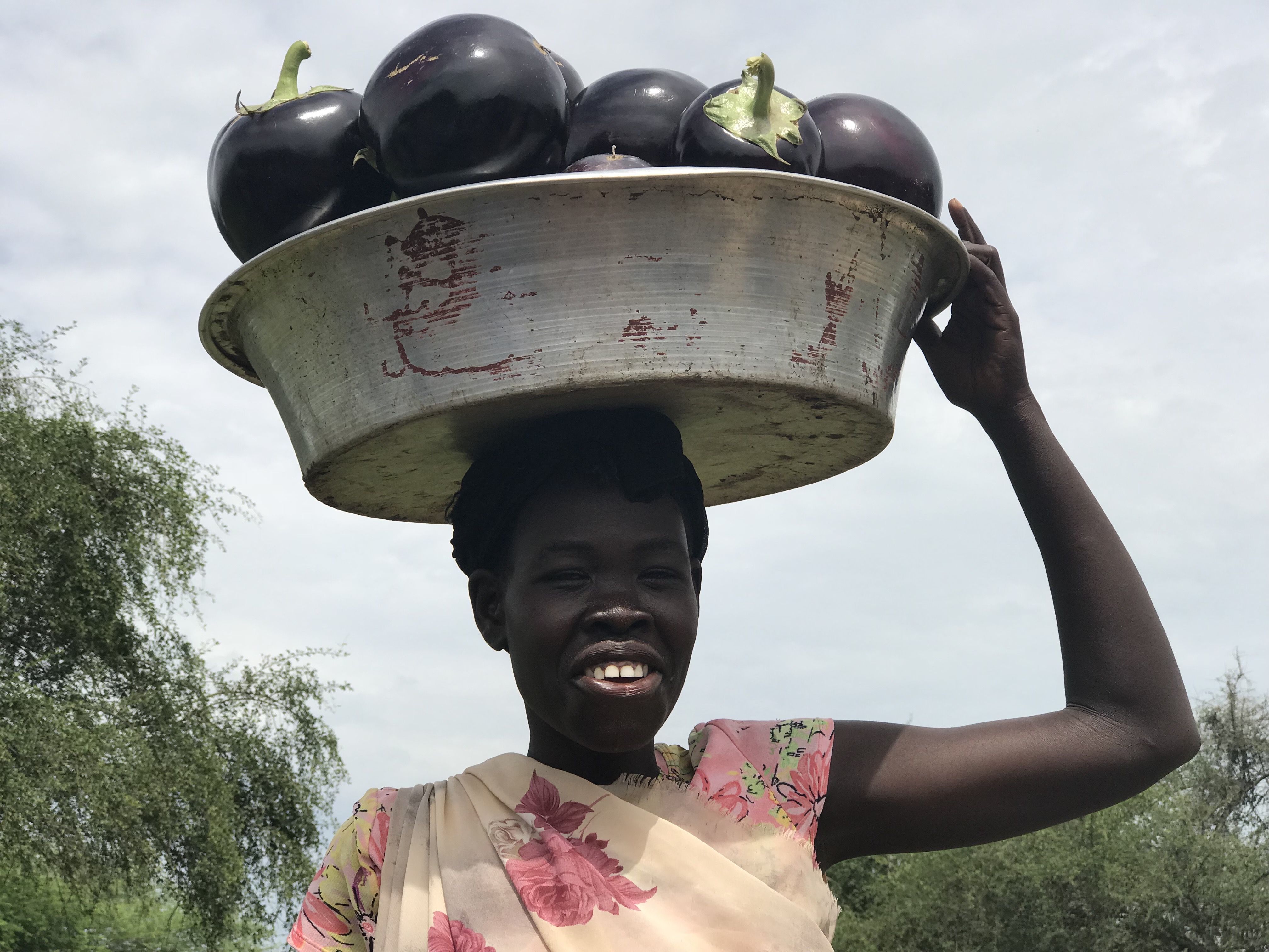 Food Security and Livelihoods in South Sudan