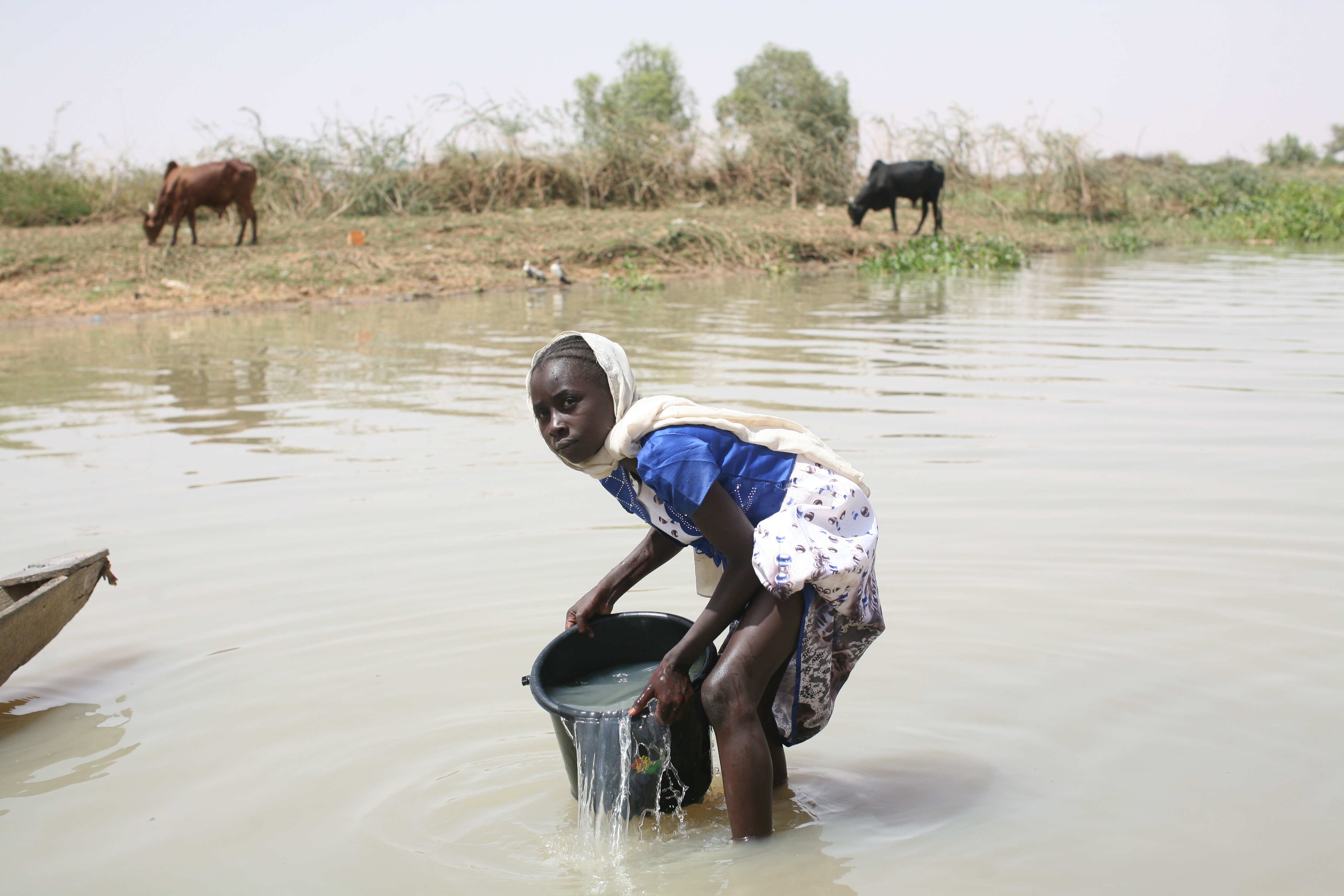 Nana fetching water from Fleuve Niger
