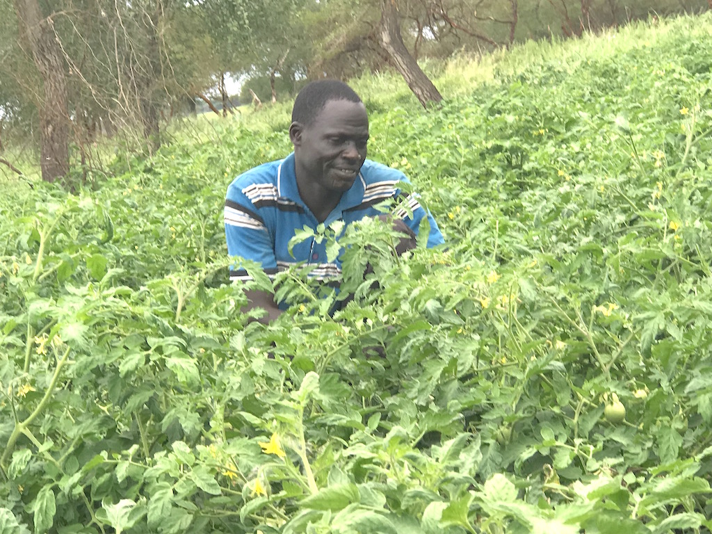 South Sudanese farmers up with hoes to fight hunger and launch a green