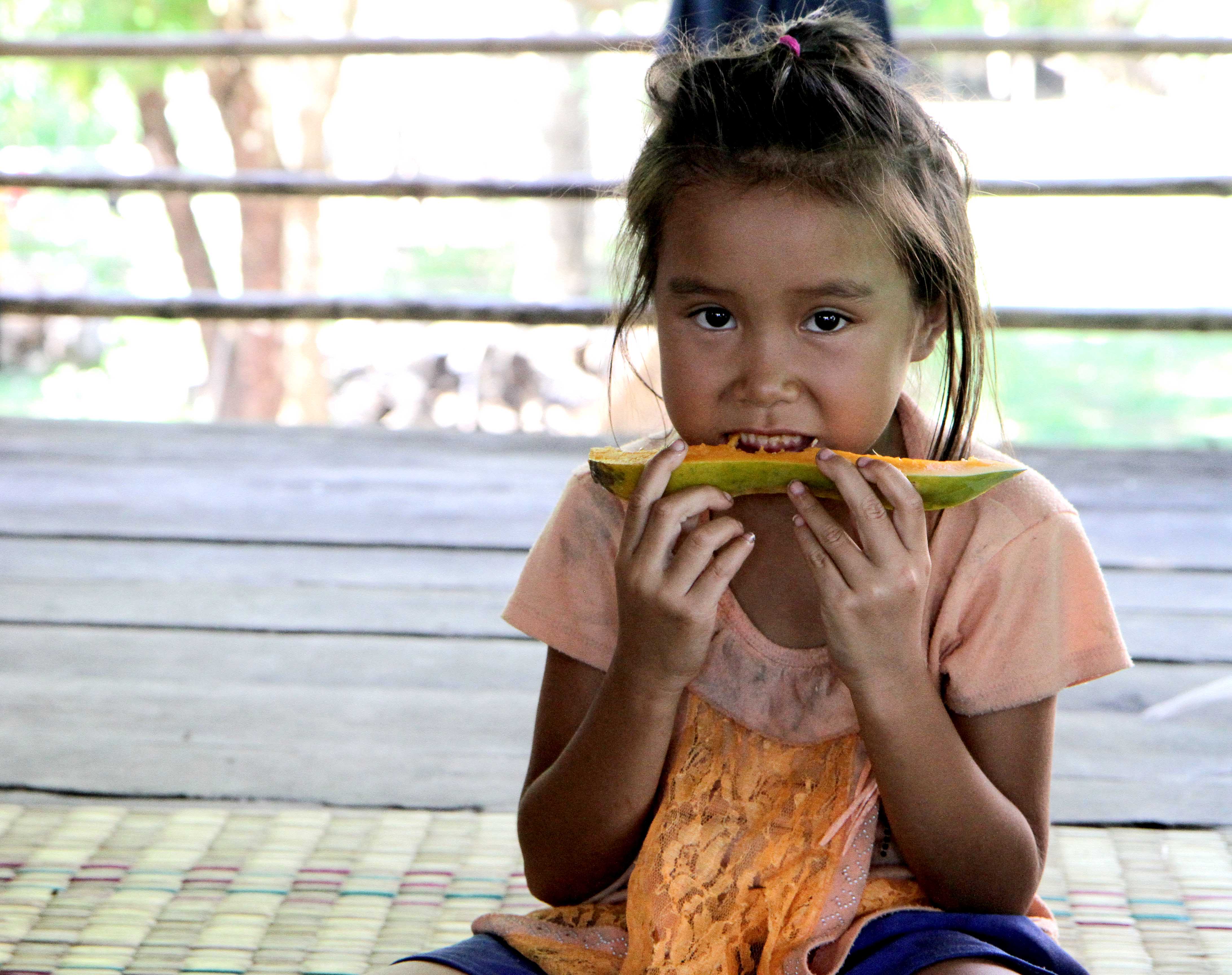The scent of yellow papayas Laos World Vision International