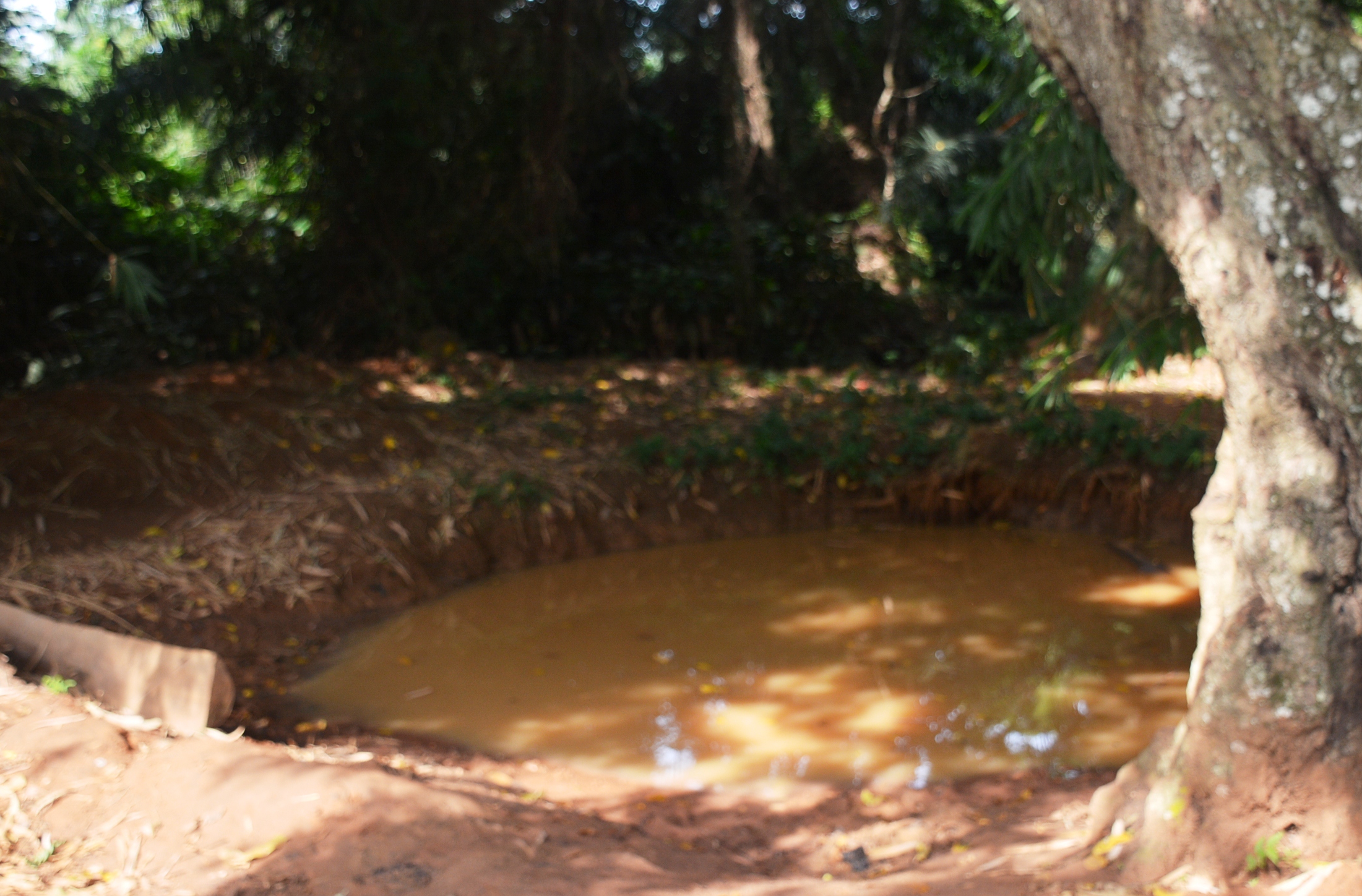 Contaminated community dam