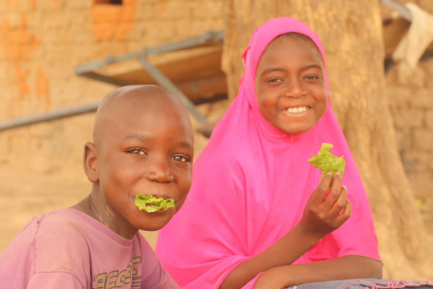 Nutrition in Niger