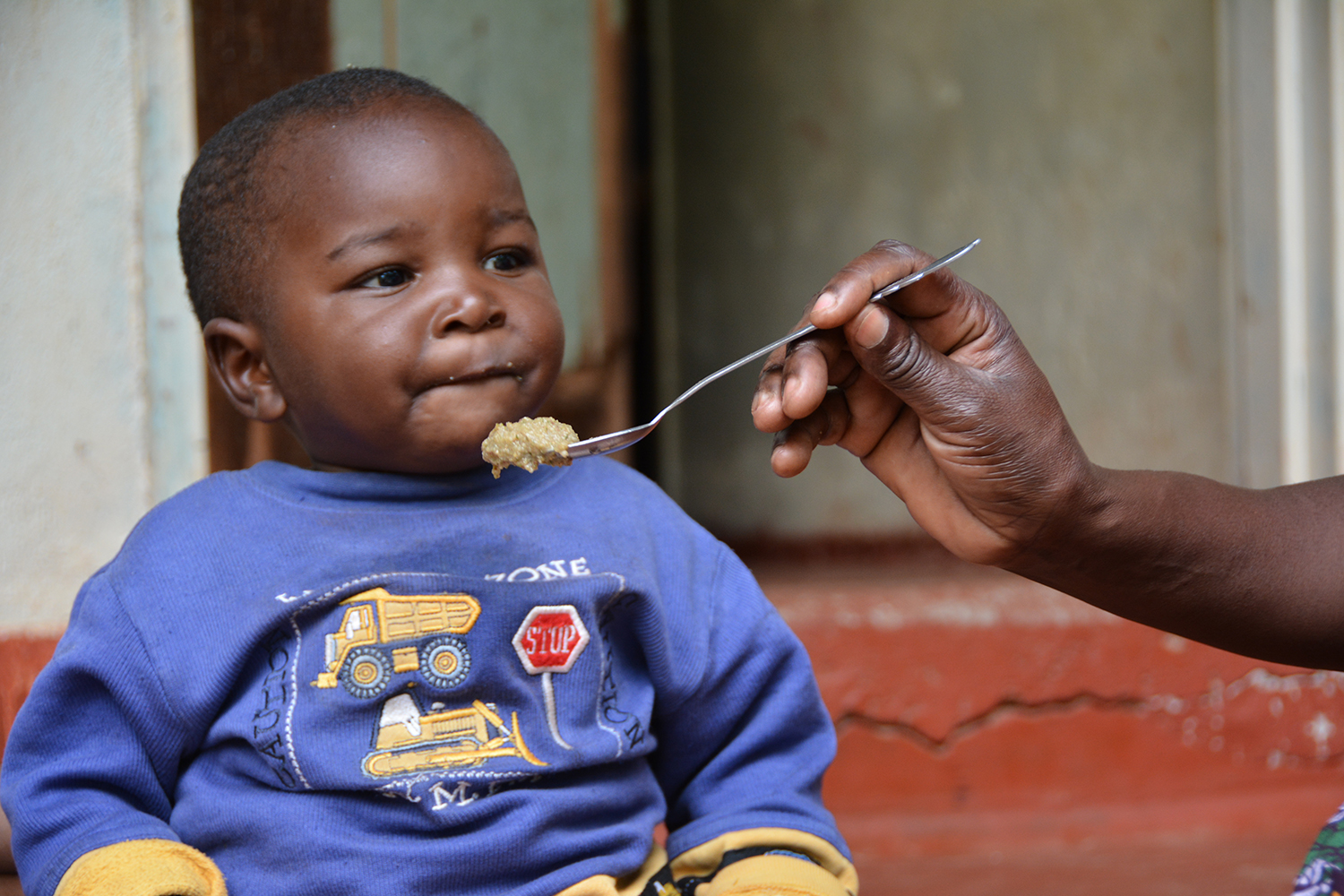 Nutrition in Mali