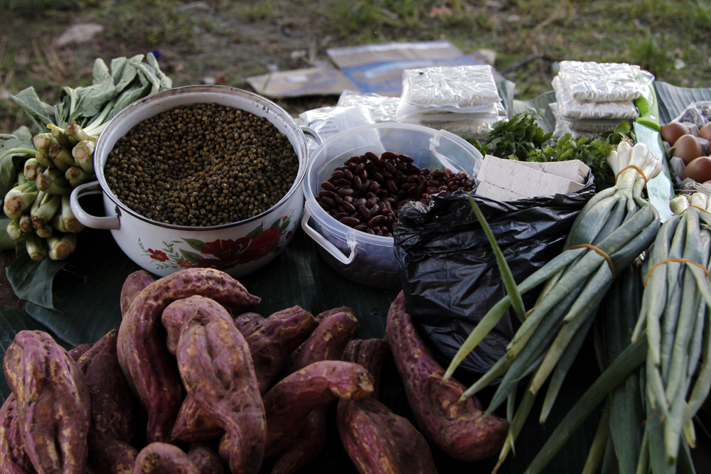 Promoted nutritious foods: mungbean, red kidney bean, tofu and orange sweet potato