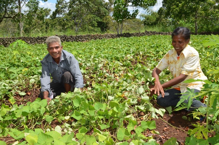 Gaspar (55, left) and his wife Recardina (49, right) grow nutritious crops in their kitchen garden. Photo: Ambrosio Alexandre / World Vision
