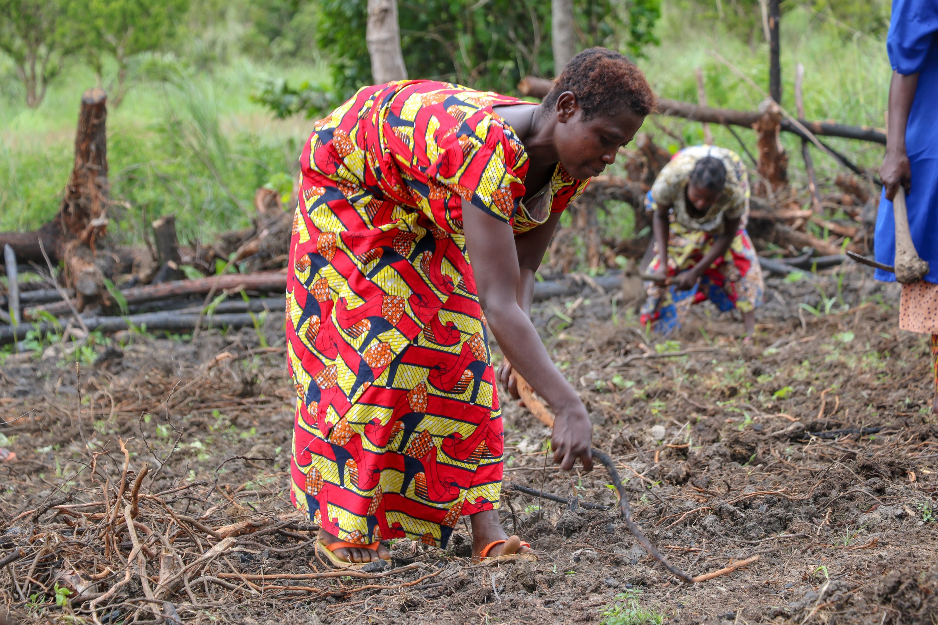 World Vision and Global Affairs Canada are supporting farmers in Dibaya territory of Kasai Central to fight and prevent malnutrition