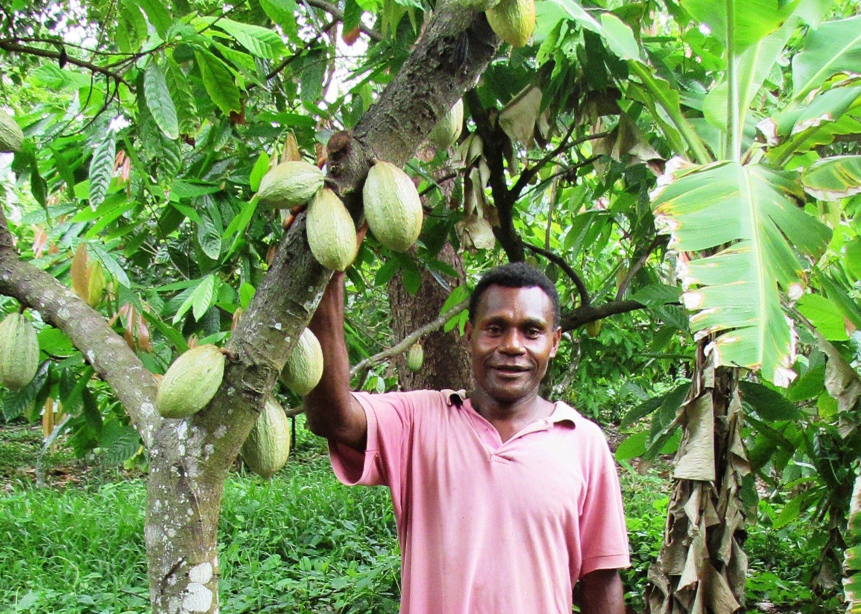 Cocoa farmer training changes lives in Vanuatu Vanuatu World Vision