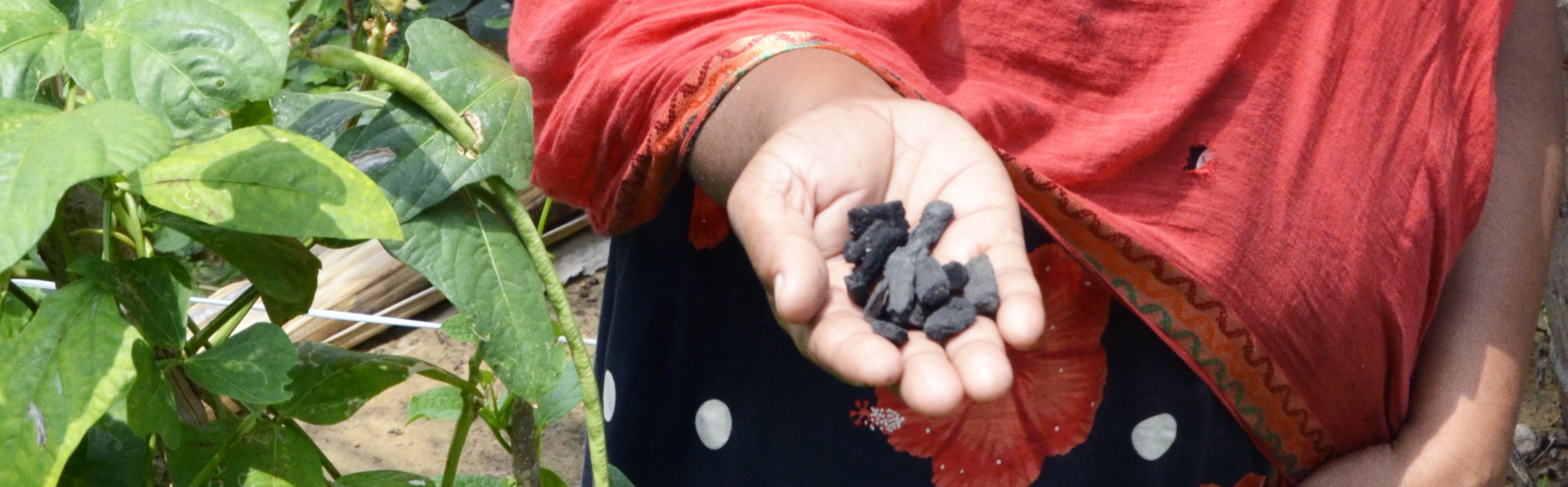From chemicals to compost Sri Lanka World Vision International