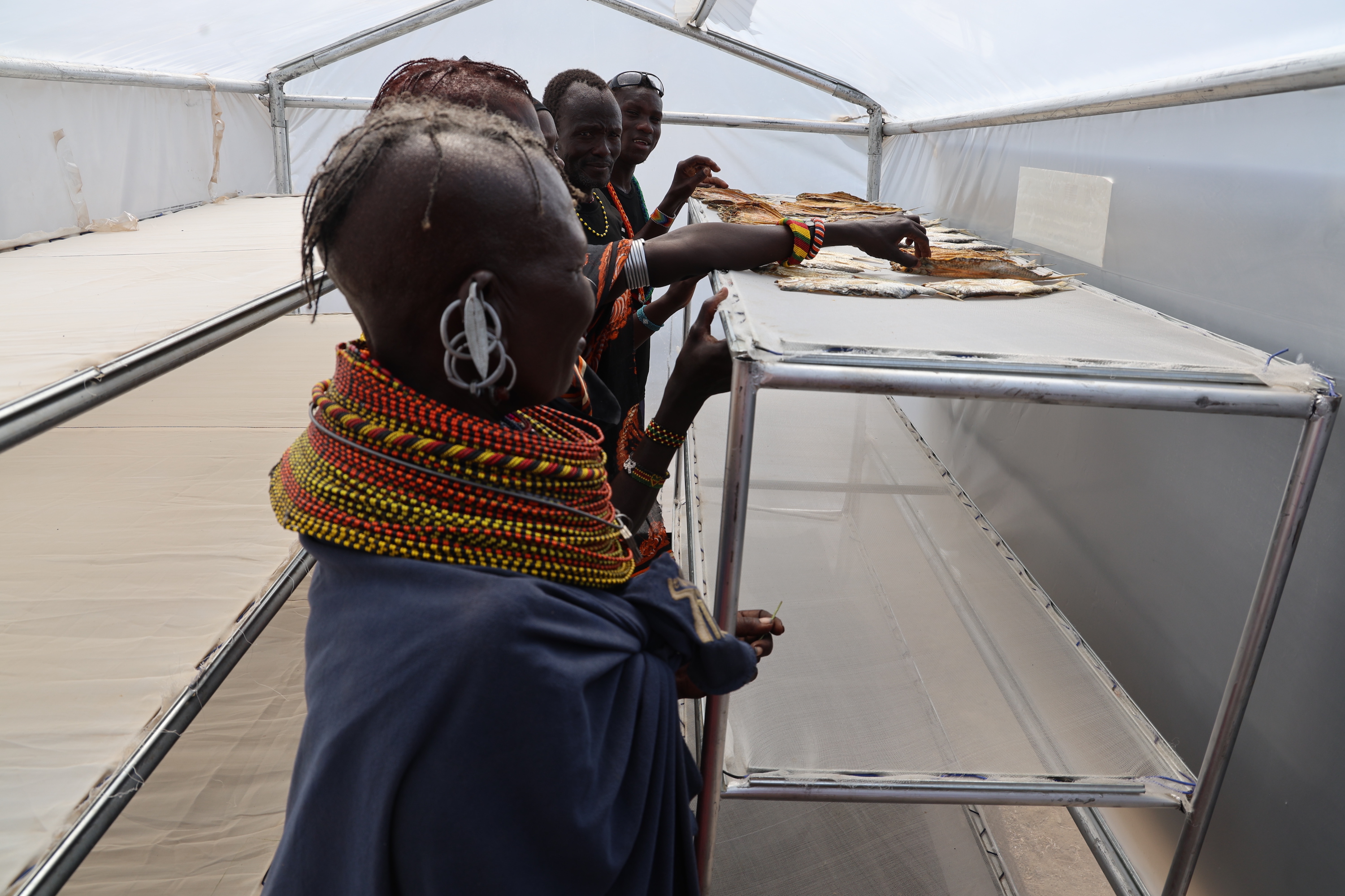 Community members arrange their fish inside the newly handed-over fish dryers.