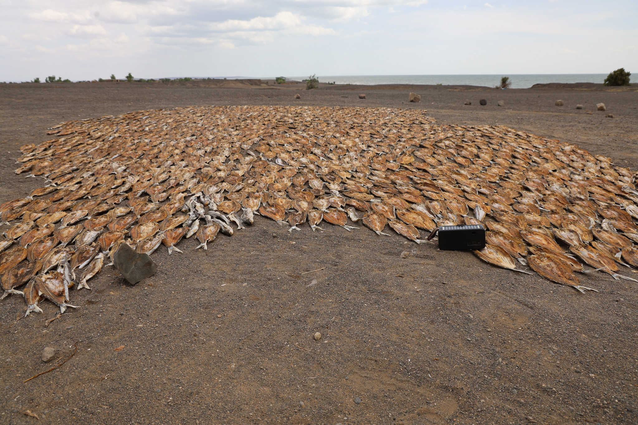 Above: Fresh catch from the Lake spread in the scorching sun to dry along the shores of Lake Turkana. Below: The donated fish dryers supplied to the community in Moite, Loiyangalani Sub-County, Marsabit County.