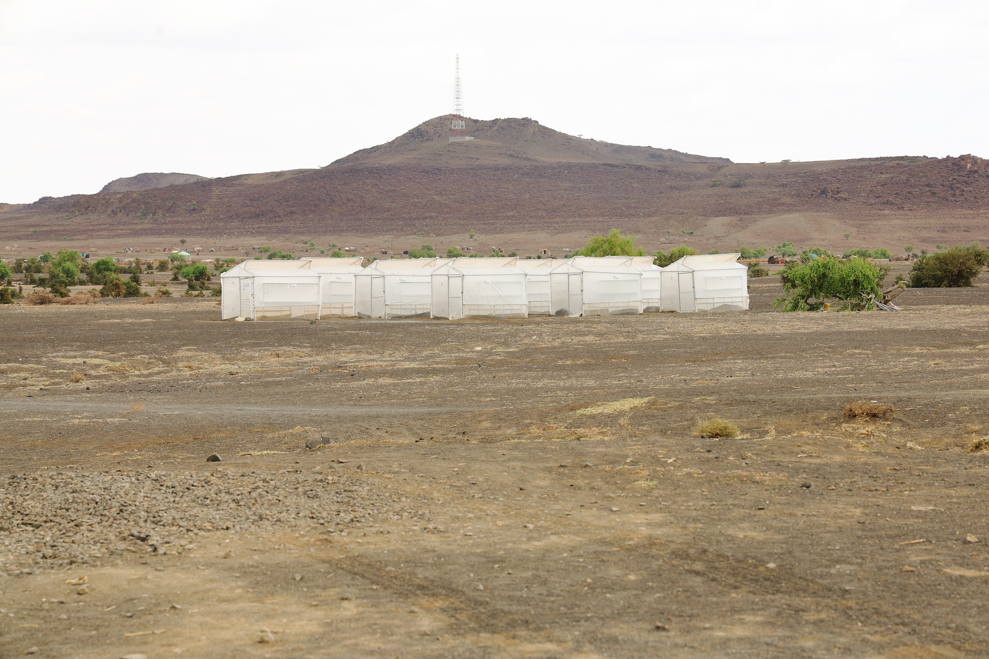 The donated fish dryers supplied to the community in Moite, Loiyangalani Sub-County, Marsabit County by World Vision and partners