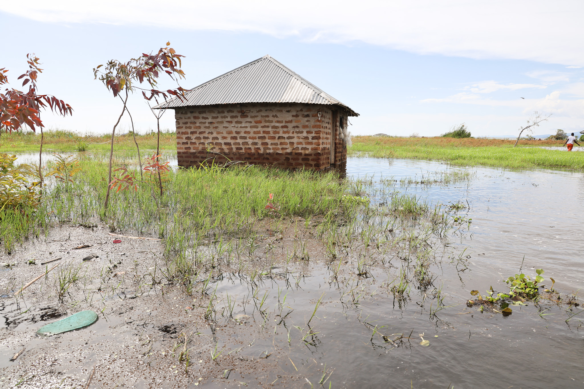 One of the submerged and abandoned houses in the middle of Muhuru Bay in Migori County