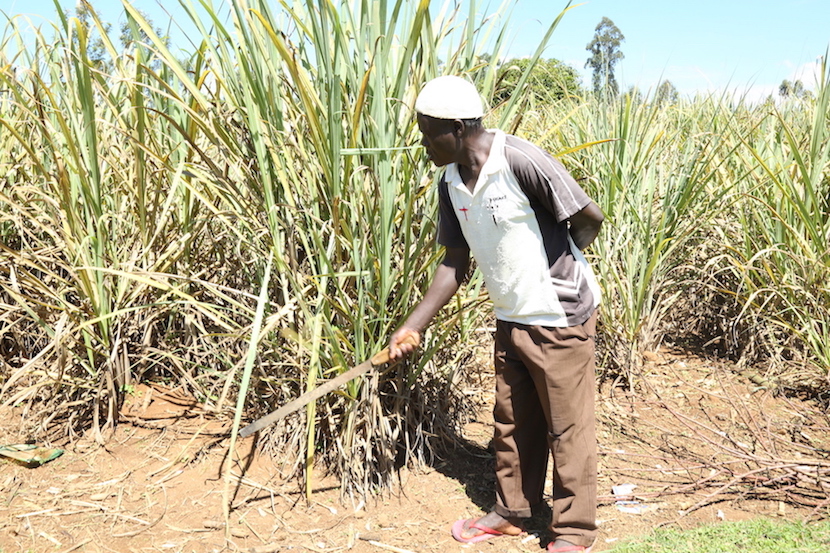 Nangila and her husband Wanami (featured) often clear the bushes around their home to keep mosquitoes at bay.©World Vision Photo/Irene Sinoya