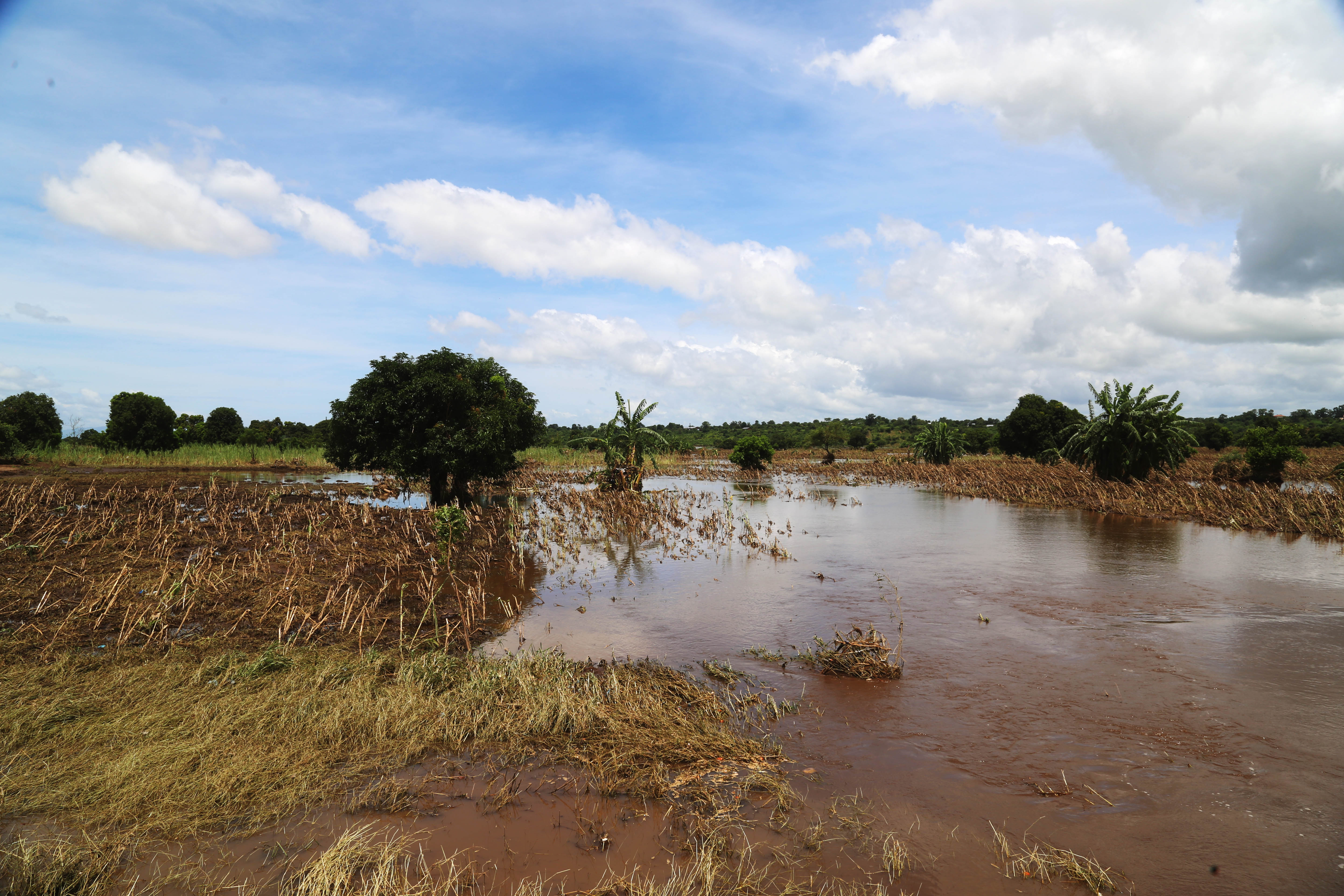 Flood damage