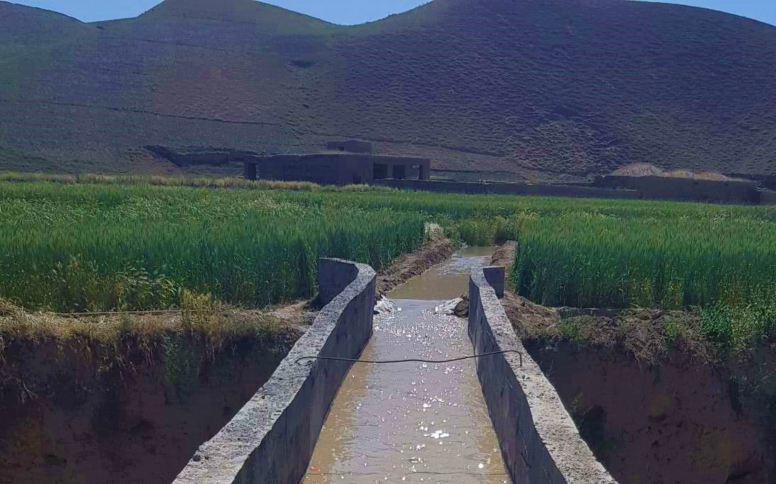 Canal could bring irrigation water to the wheat fields