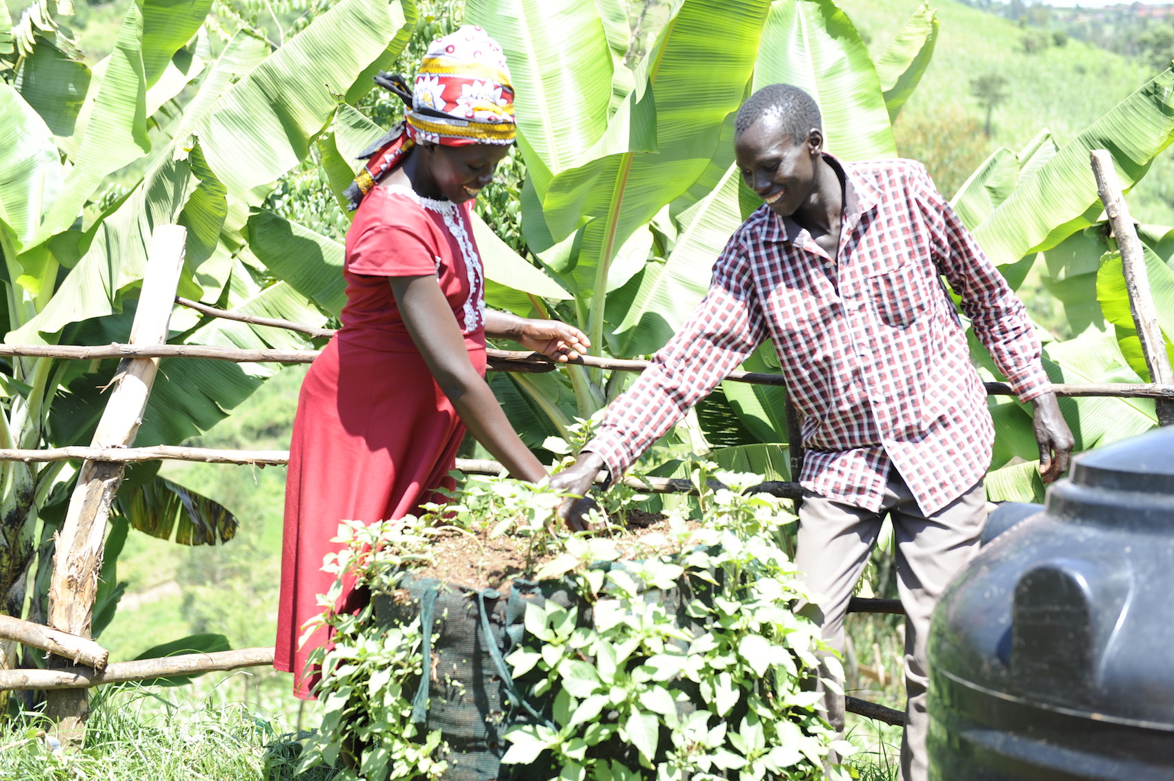 Janet and her husband Philemon weeding vegetables grown on a vertical bag at their home in Elgeyo Marakwet County, Kenya.