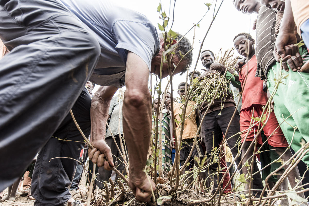 Tony Rinaudo in the Humbo Community Reforestation Programme (ERPA) in Ethiopia, 2017