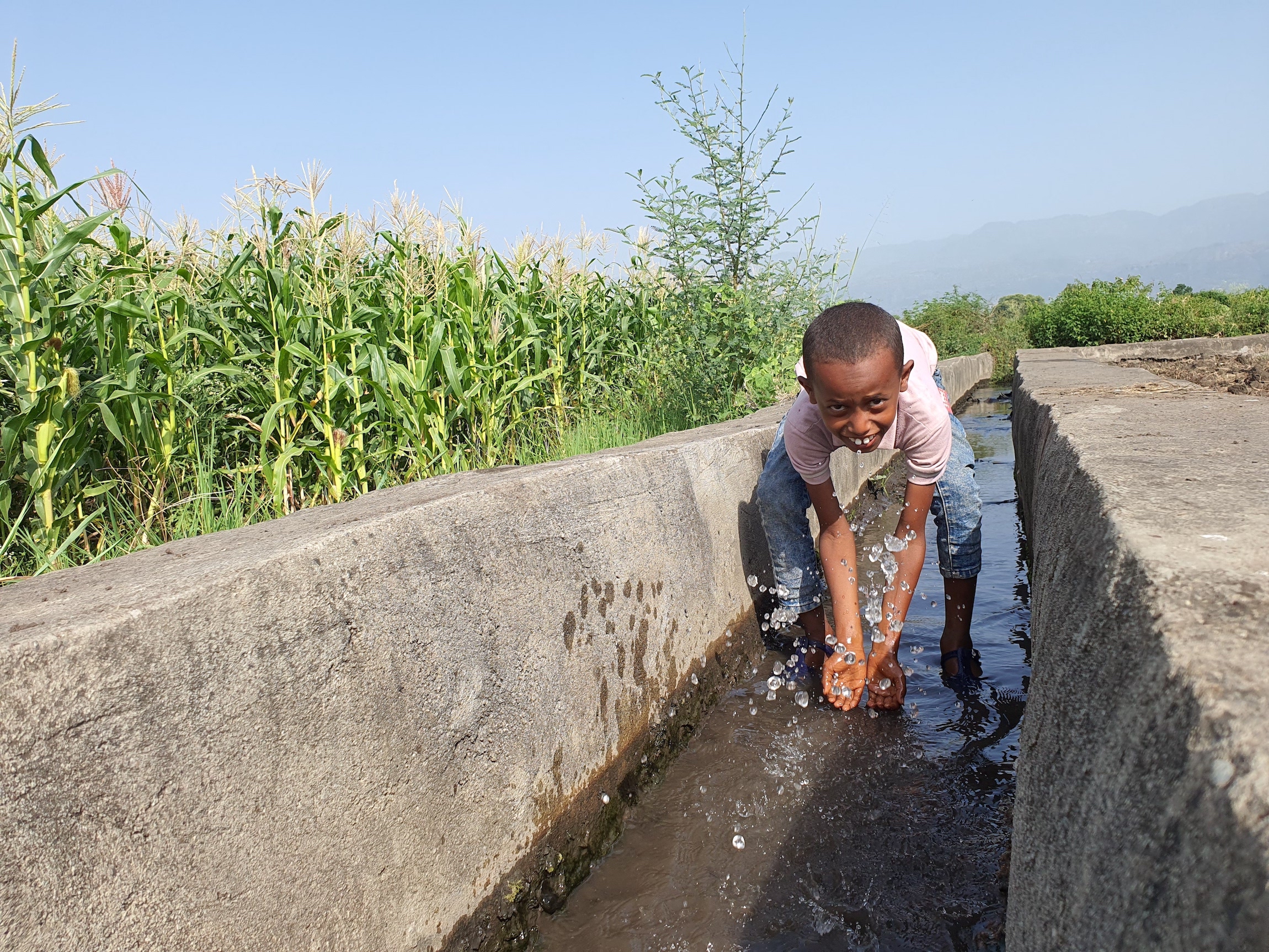 Child near the irrigation