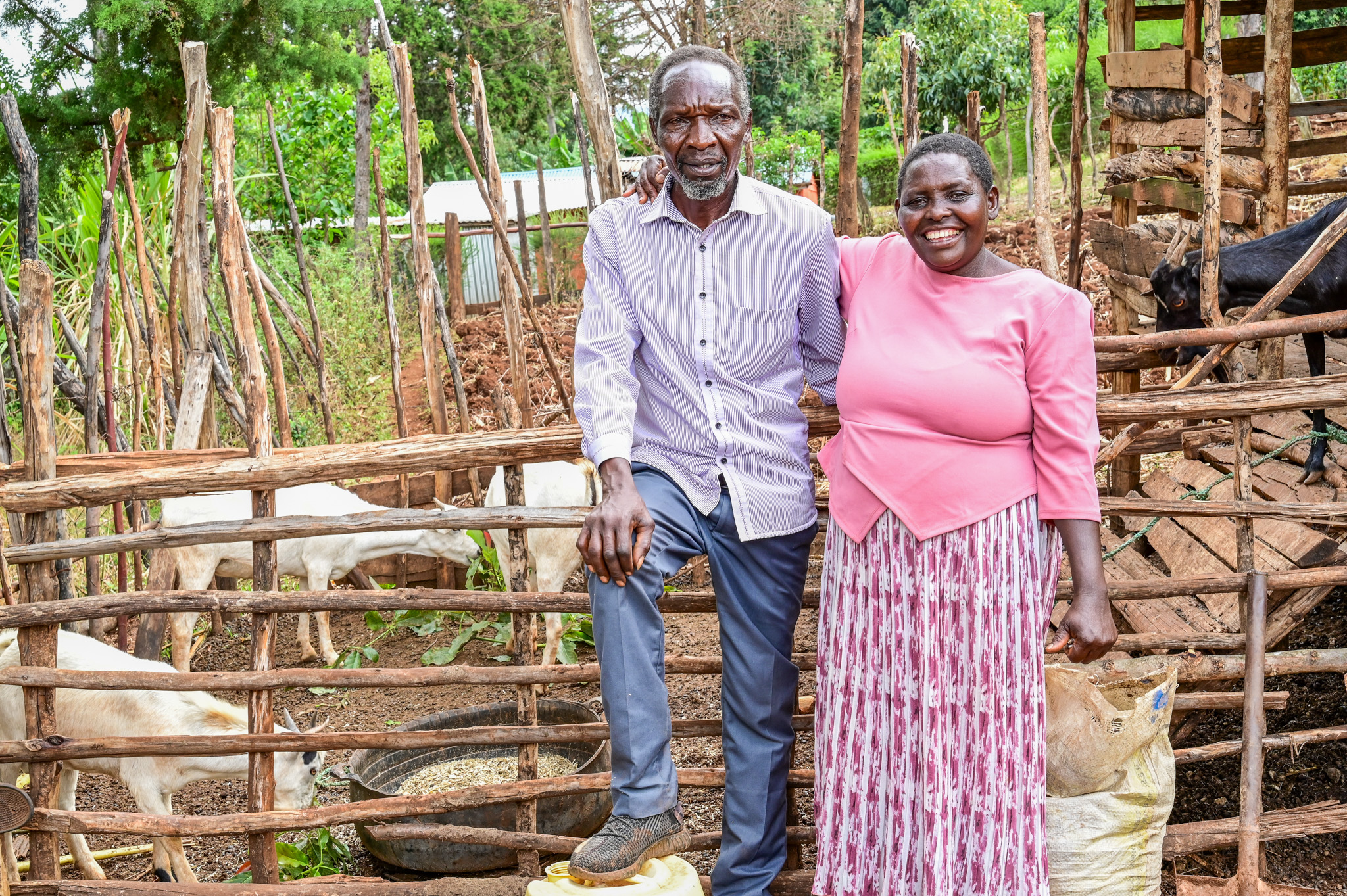 The first joint investment that Elizabeth and Philip made after the training was purchasing a goat that has since multiplied. ©World Vision Photo/ Hellen Owuor