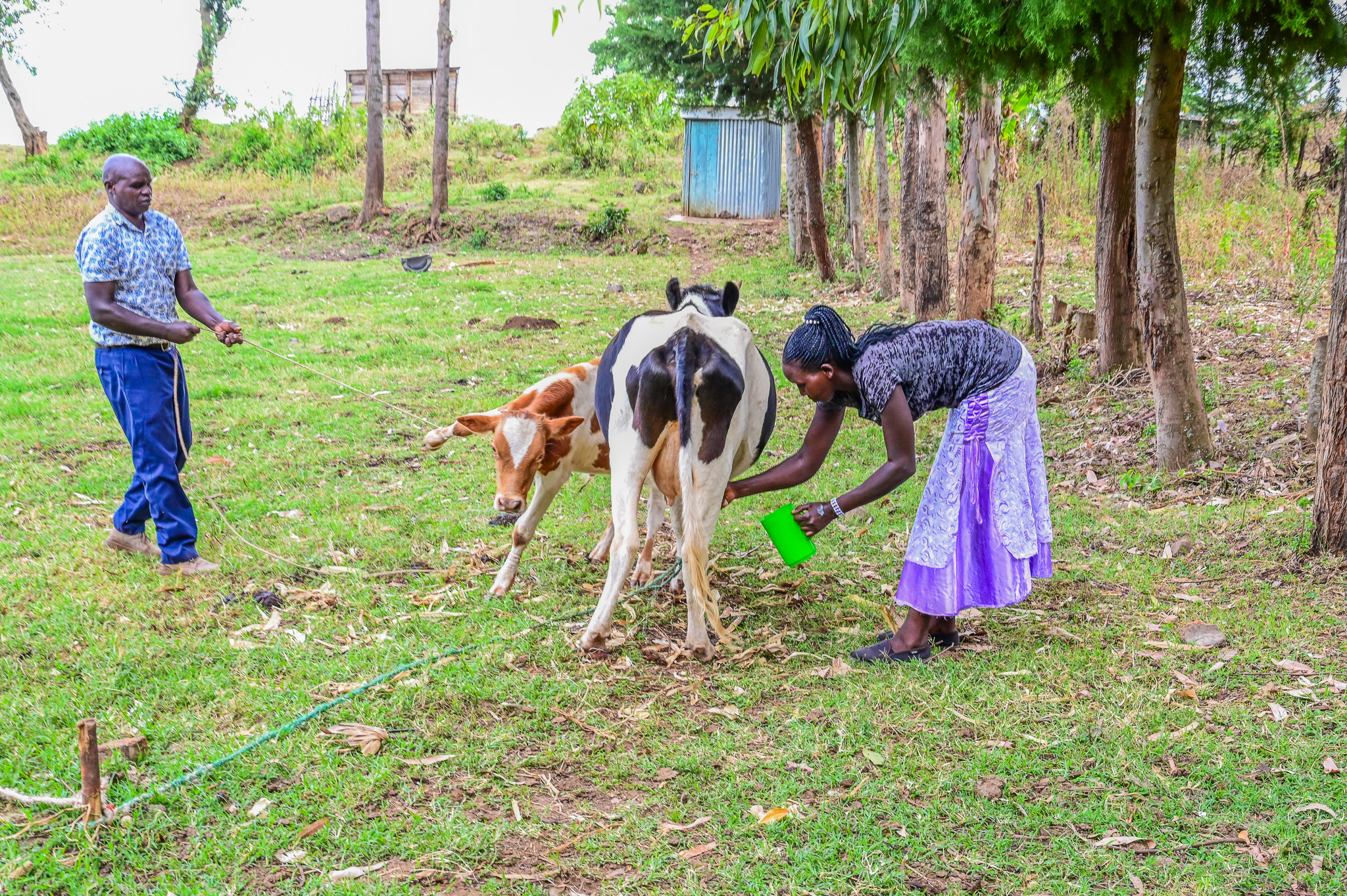 In Dominic, Monica has found a companion who helps her with chores and walks with to church. ©World Vision Photo/ Hellen Owuor