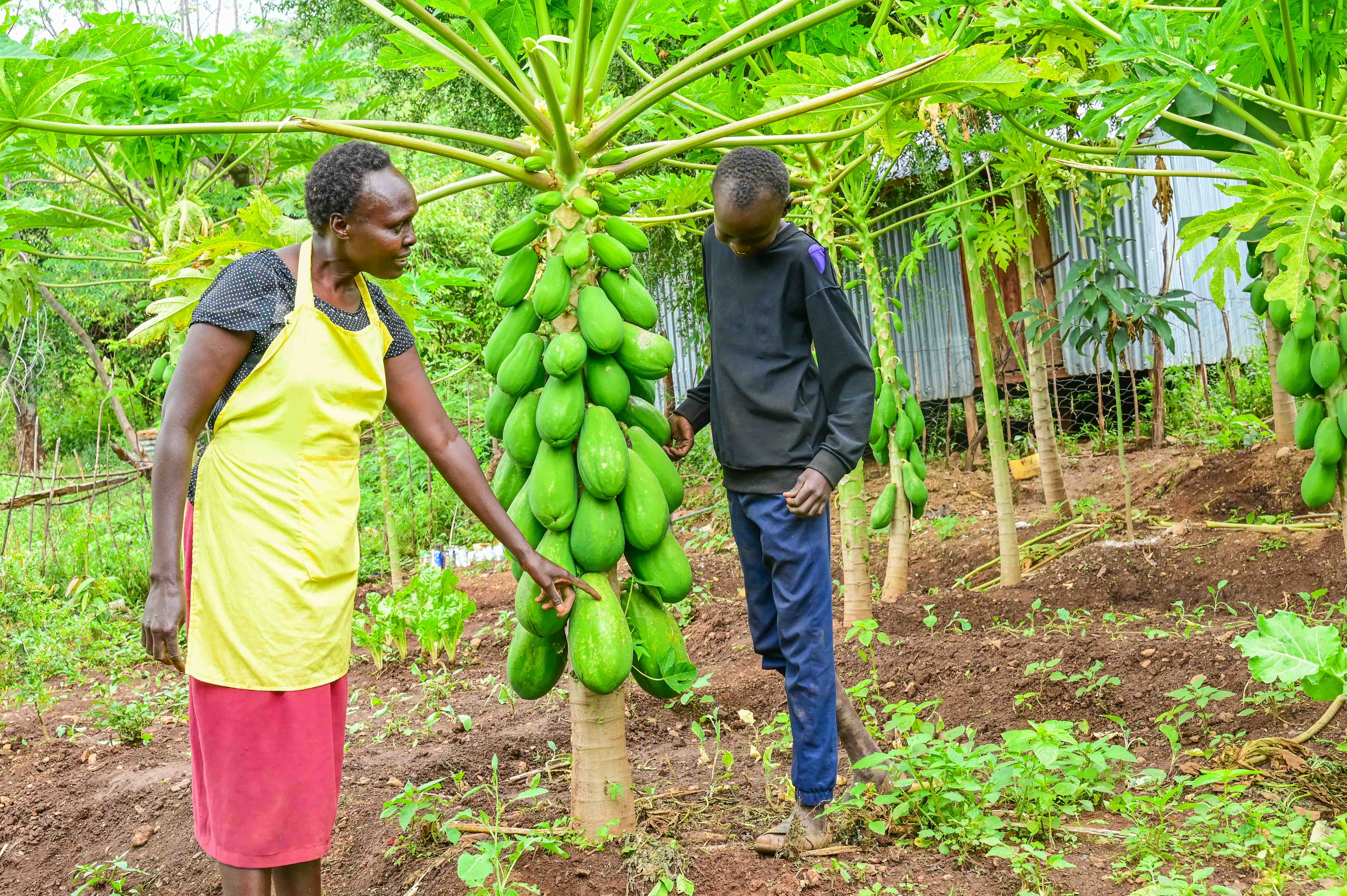 Salina’s family once relied on selling charcoal to meet their basic needs. Today, through FMNR, their farm produces enough food for the household,with surplus to sell. ©World Vision Photo/ Hellen Owuor