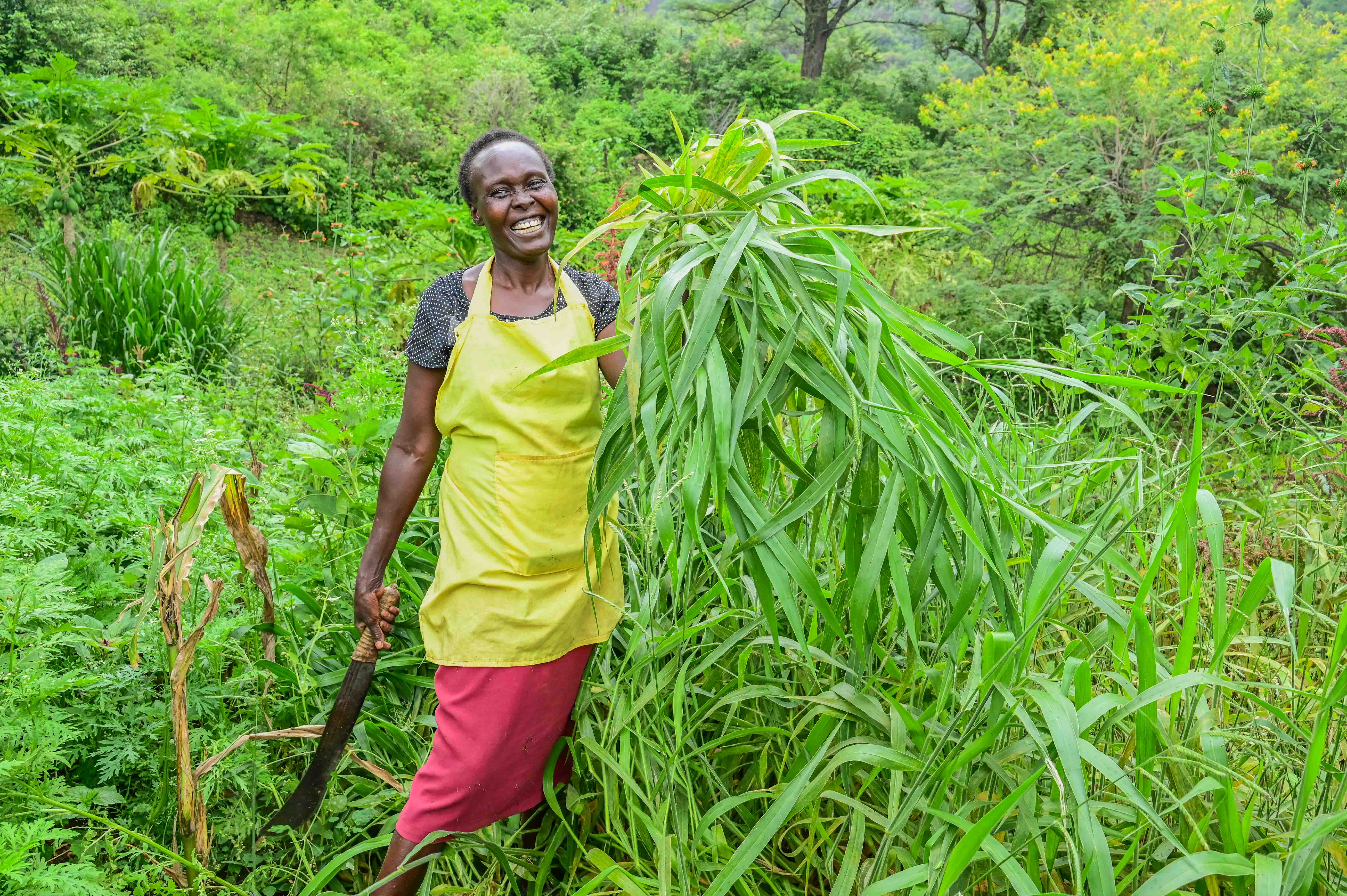 Salina never imagined her dry, desert-like farm could support fodder crops, but through FMNR, the land has sprung to life. ©World Vision Photo/ Hellen Owuor