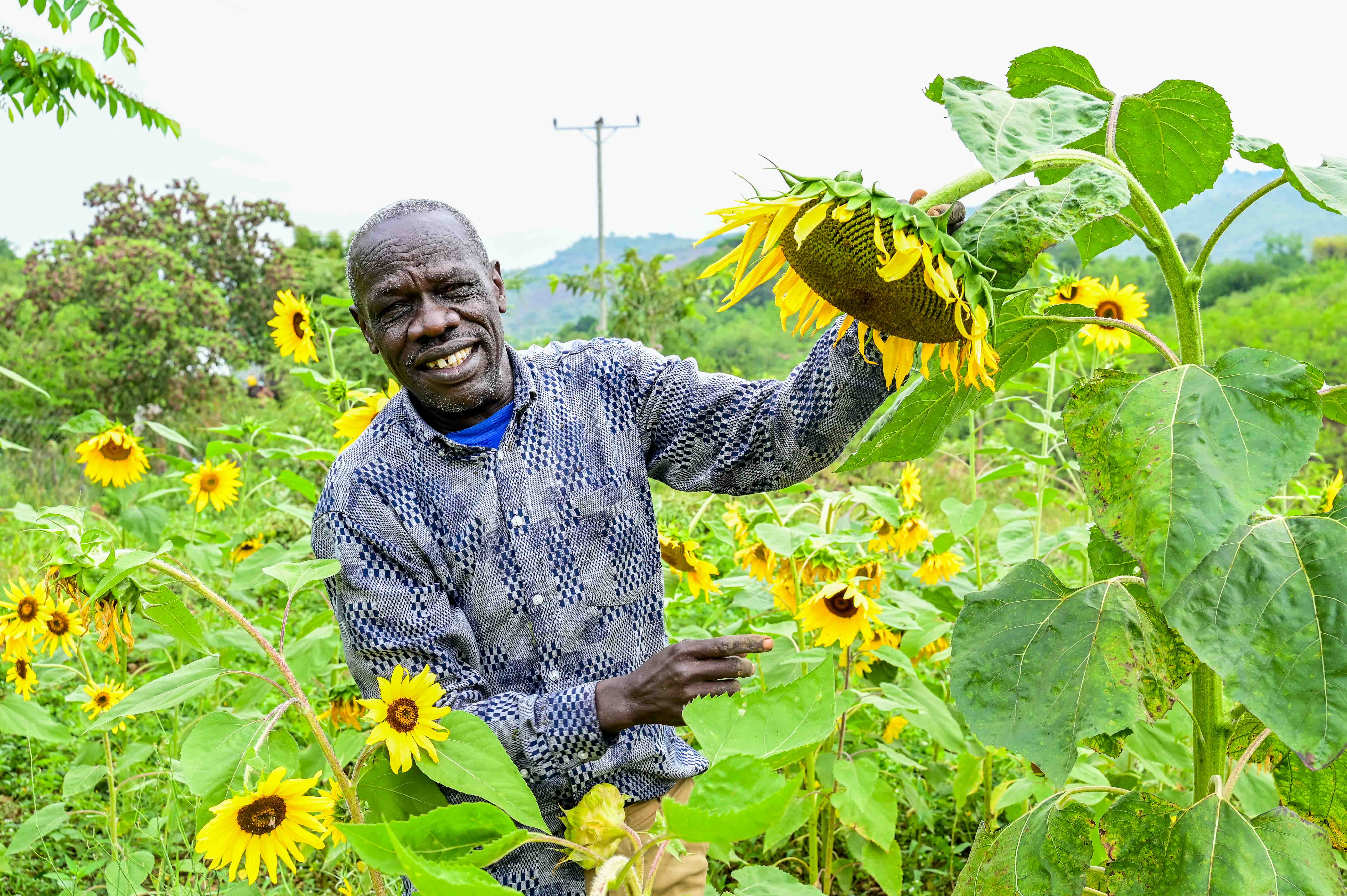 Musa hopes to diversify his income through beekeeping and producing sunflower oil for household use and commercial sale. ©World Vision Photo/ Hellen Owuor