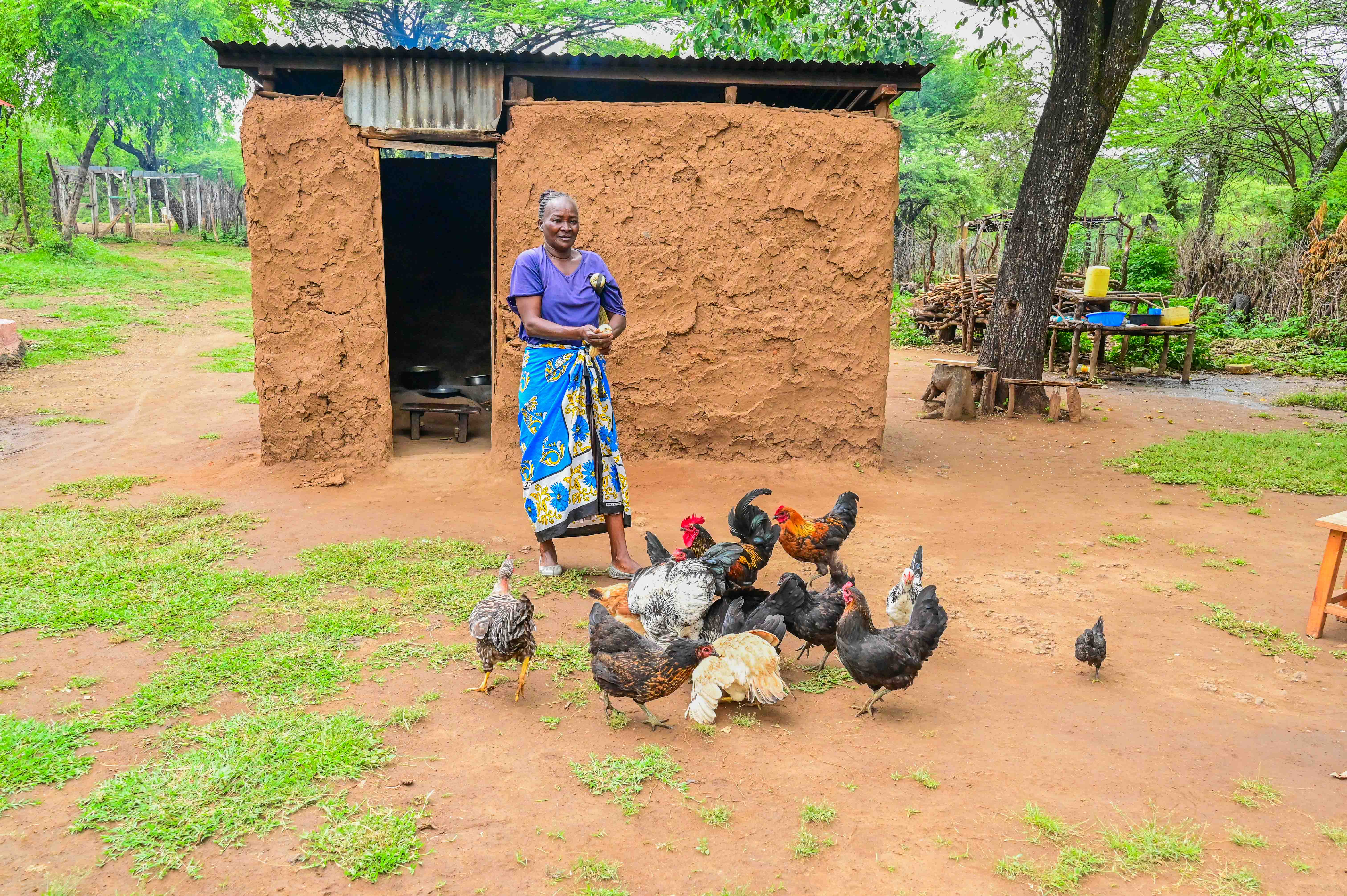 With healthier livestock, higher crop yields, and reduced household expenses, Christine’s family is enjoying the rewards of land restoration. ©World Vision Photo/ Hellen Owuor
